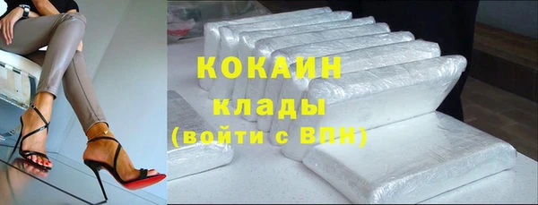 стафф Туринск