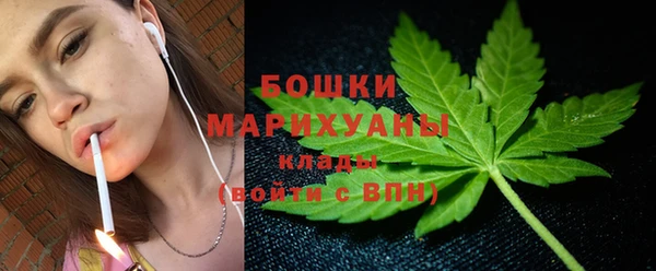 хмурый Тында